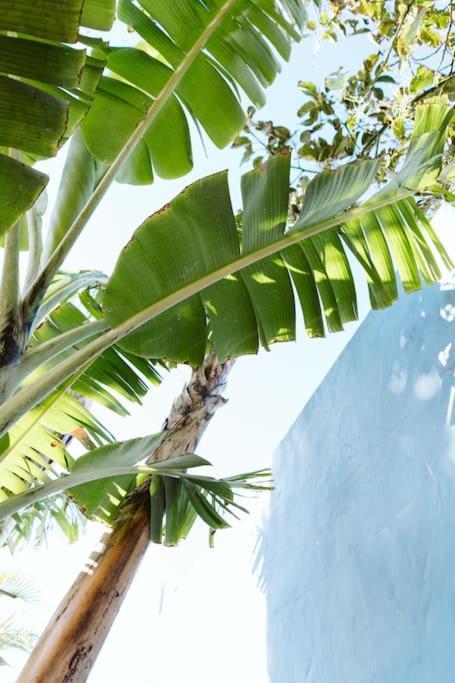 Vila Tortuga Blue House In Banana Plantation Arucas Exteriér fotografie